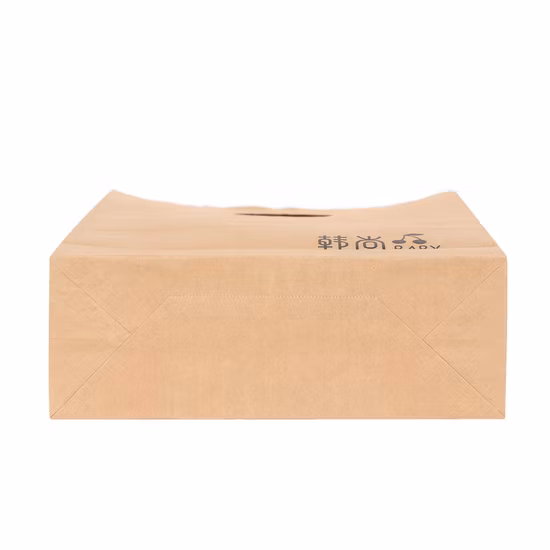 Bolsa de compras de papel de embalaje Apprael ecológica con troquelado